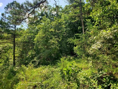 Approximately 64 wooded acres with county road frontage - photo 15
