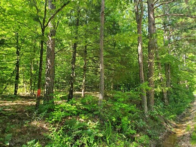 Approximately 64 wooded acres with county road frontage - photo 16