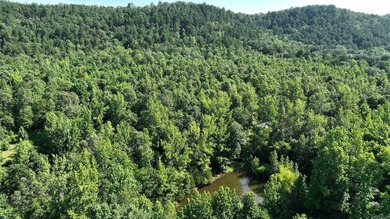 Approximately 64 wooded acres with county road frontage - photo 20