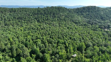 Approximately 64 wooded acres with county road frontage - photo 21
