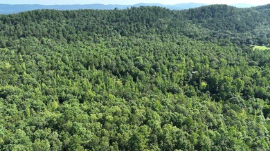 Approximately 64 wooded acres with county road frontage - photo 22