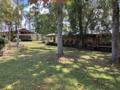 (private lake, pond, coastal) Home For Sale in Lakeland Georgia