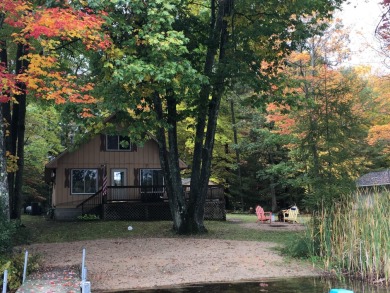 Lake Home For Sale in Baldwin, Michigan