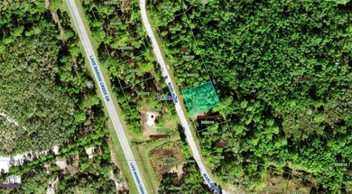 Lake Marion - Polk County Lot For Sale in Kissimmee Florida