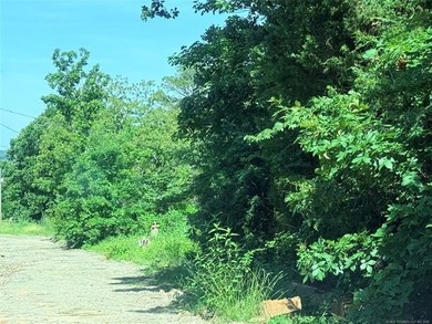 Quiet Lake Lot Near Lake Eufaula - Prime Location in Sportsman's - photo 2