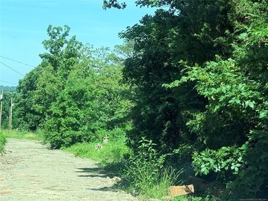 Quiet Lake Lot Near Lake Eufaula - Prime Location in Sportsman's - photo 3