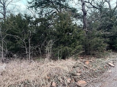 Quiet Lake Lot Near Lake Eufaula - Prime Location in Sportsman's - photo 5