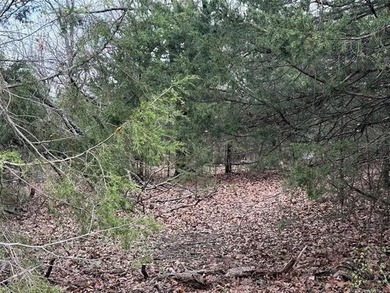 Quiet Lake Lot Near Lake Eufaula - Prime Location in Sportsman's - photo 6