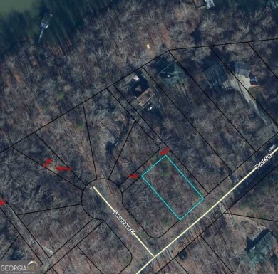 Lake Lot For Sale in Westminster, South Carolina