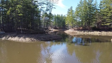 Lake Lot For Sale in Gladwin, Michigan