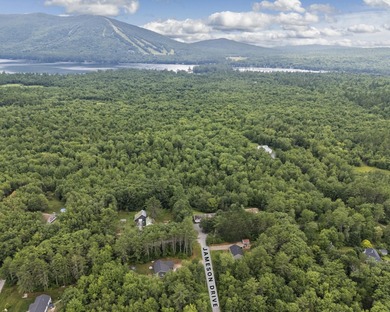 (private lake, pond, coastal) Acreage For Sale in Bridgton Maine