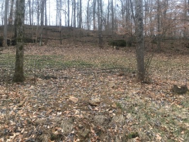 Lake Lot For Sale in Leitchfield, Kentucky