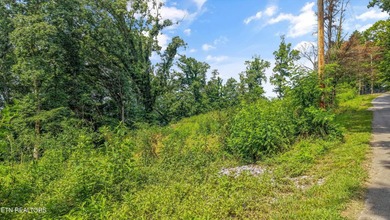 Lakefront Lot on Watts Bar Lake - A Rare Waterfront Opportunity - photo 2