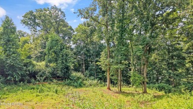 Lakefront Lot on Watts Bar Lake - A Rare Waterfront Opportunity - photo 3