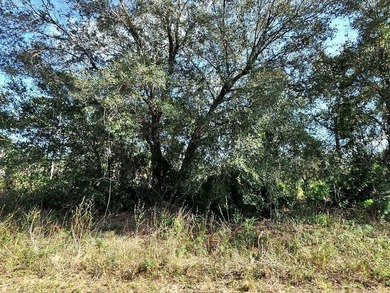 Wow fantastic location for this buildable home site lot six for - photo 3