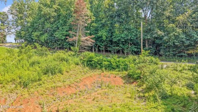 Lakefront Lot on Watts Bar Lake - A Rare Waterfront Opportunity - photo 4