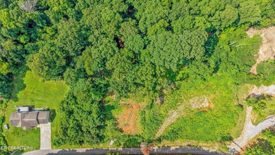 Lakefront Lot on Watts Bar Lake - A Rare Waterfront Opportunity - photo 5
