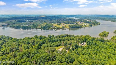 Lakefront Lot on Watts Bar Lake - A Rare Waterfront Opportunity - photo 6