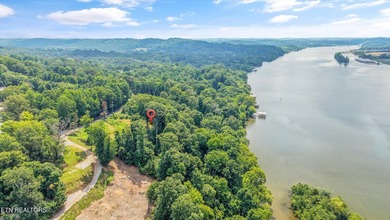 Lakefront Lot on Watts Bar Lake - A Rare Waterfront Opportunity - photo 8