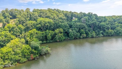 Lakefront Lot on Watts Bar Lake - A Rare Waterfront Opportunity - photo 10