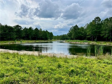  Lot For Sale in Waverly Georgia