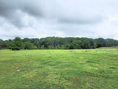 Lake Acreage Off Market in Brenham, Texas