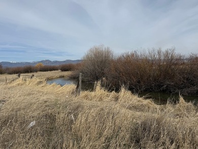 PRICE IMPROVEMENT! Incredible opportunity for country living at - photo 3