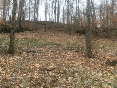 Lakeview Lot - photo 2