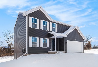 Lake Michigan - Berrien County Home Sale Pending in Saint Joseph Michigan