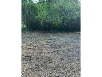 Lake Lot For Sale in Wills Point, Texas