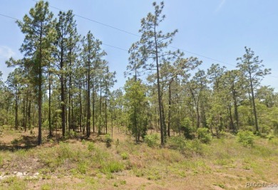 Lake Lot For Sale in Dunnellon, Florida