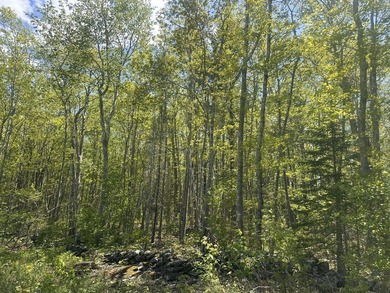 Discover this fantastic opportunity to build your perfect home - photo 4