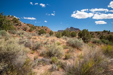 Virgin River Acreage Sale Pending in Springdale Utah