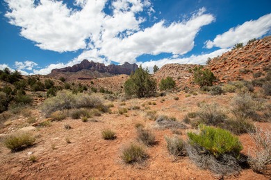 Virgin River Acreage Sale Pending in Springdale Utah
