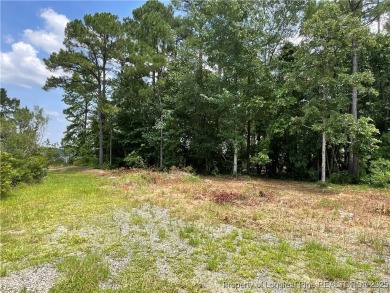 Lake Lot For Sale in Sanford, North Carolina