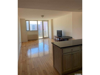 In the heart of downtown flushing, this condominium is in the - photo 6