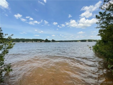 Lake Lot For Sale in Sanford, North Carolina