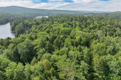 Hermit Lake Lot For Sale in Sanbornton New Hampshire