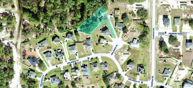 Lake Marion - Polk County Lot For Sale in Kissimmee Florida