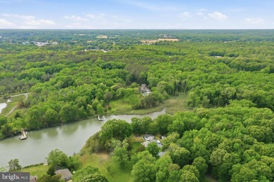 The Ultimate Private Waterfront Retreat on Carrs Creek is PRICED - photo 44