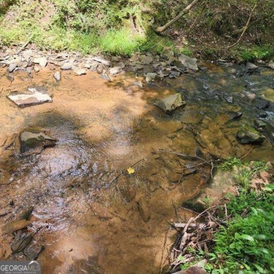 Lake Acreage For Sale in Ellijay, Georgia