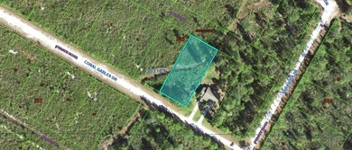 This generously sized parcel 0.50-acre vacant  lot on Coral - photo 3
