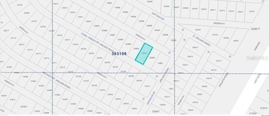 This generously sized parcel 0.50-acre vacant  lot on Coral - photo 4