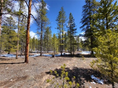 Lake Lot For Sale in Twin Lakes, Colorado