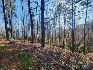 (private lake, pond, coastal) Acreage For Sale in Waynesville North Carolina