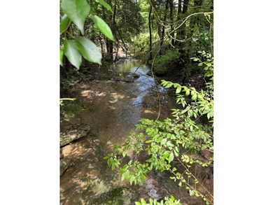 Unique unrestricted property on Cordell Hull Lake with lots of - photo 13
