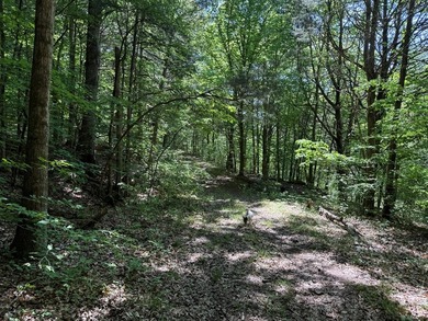 Unique unrestricted property on Cordell Hull Lake with lots of - photo 15
