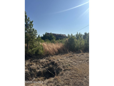 Lake Acreage For Sale in Cerro Gordo, North Carolina