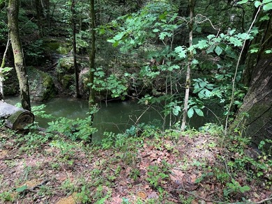 Unique unrestricted property on Cordell Hull Lake with lots of - photo 33