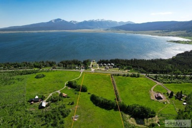 Henrys Lake Acreage For Sale in Island Park Idaho